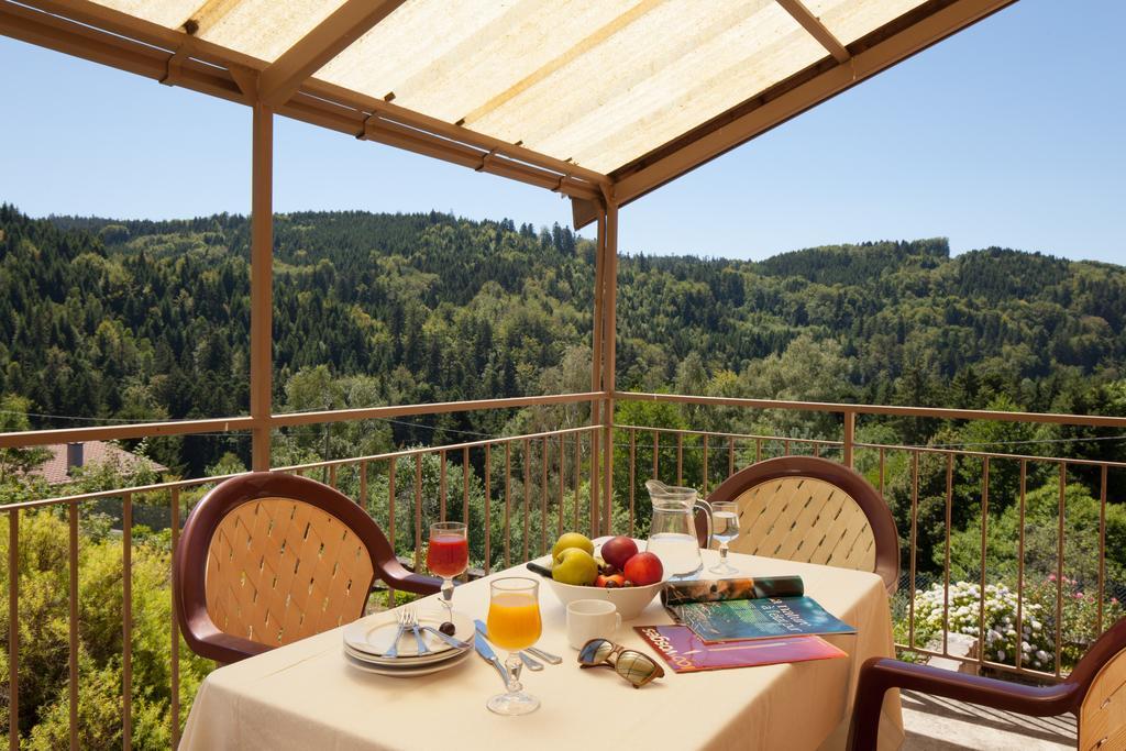Apartment De La Cascade Le Tholy